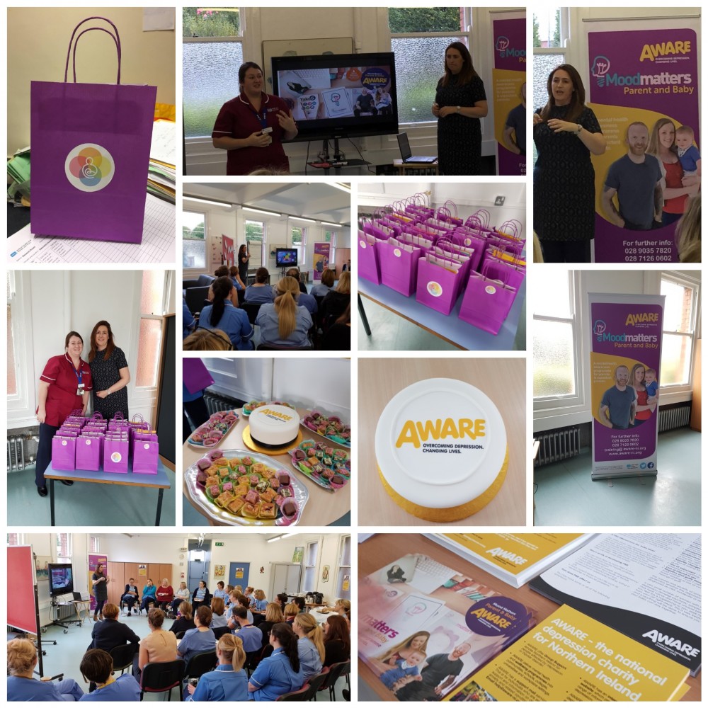 Mood Matters Parent & Baby for Maternity Staff