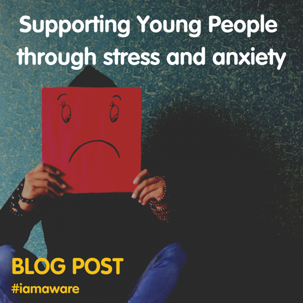 BLOG POST: How can we support young people through stress and anxiety?